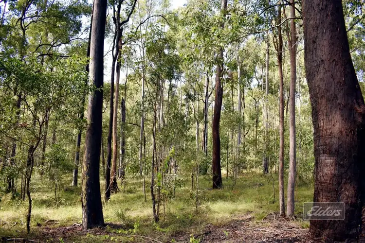Second view of Homely land listing, Lot 850 Arborthirtyone Road, Glenwood QLD 4570