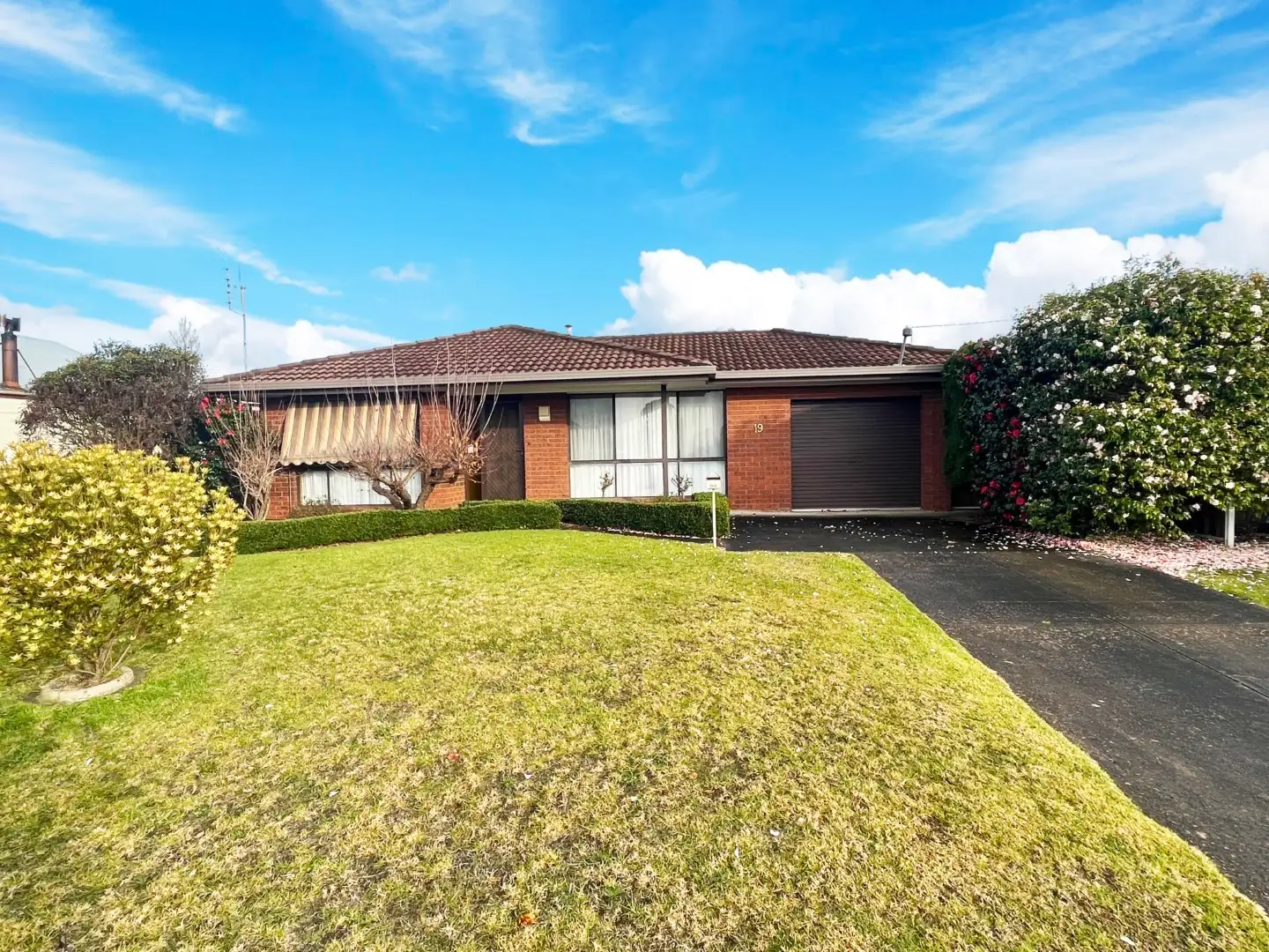 Main view of Homely house listing, 19 Carey Street, Heywood VIC 3304