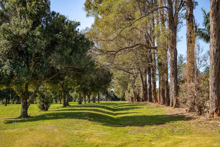 Fifth view of Homely land listing, 19 Cuckoo Dove Place, Ewingsdale NSW 2481