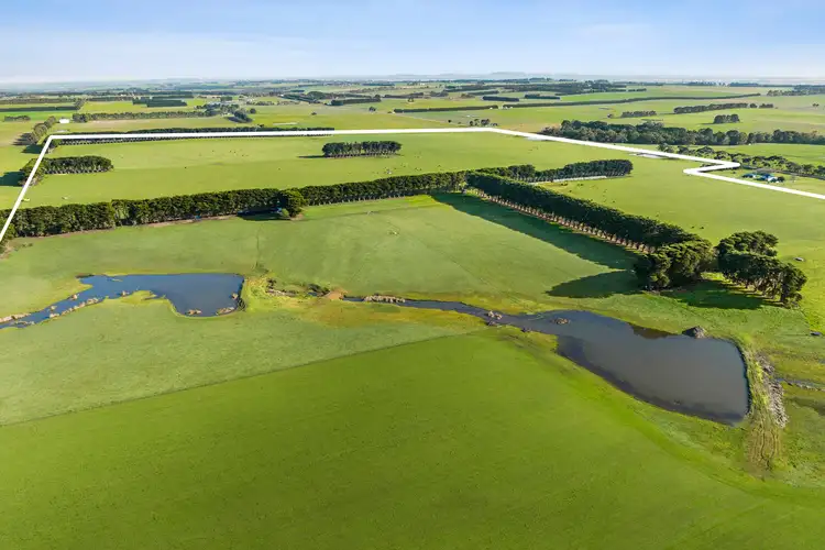 Fourth view of Homely rural property listing, 250 Collyers Road, Warncoort VIC 3243