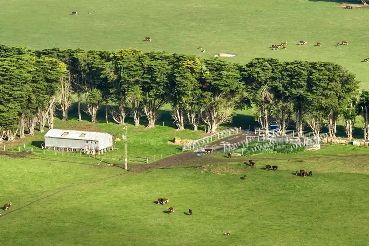 Fifth view of Homely rural property listing, 250 Collyers Road, Warncoort VIC 3243