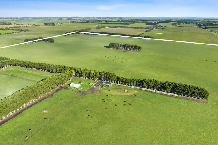 Sixth view of Homely rural property listing, 250 Collyers Road, Warncoort VIC 3243