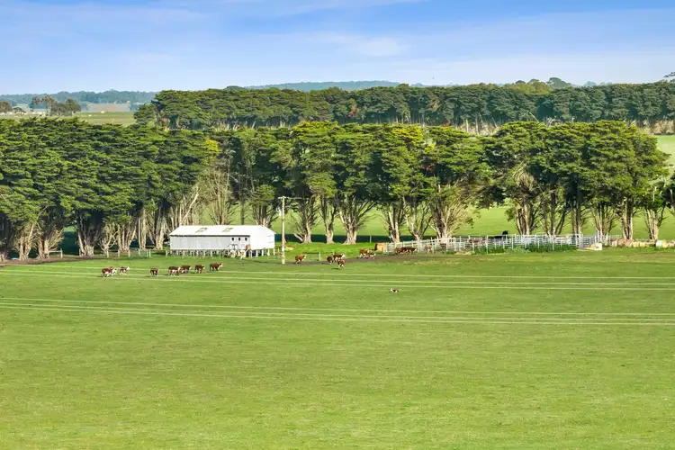 Seventh view of Homely rural property listing, 250 Collyers Road, Warncoort VIC 3243