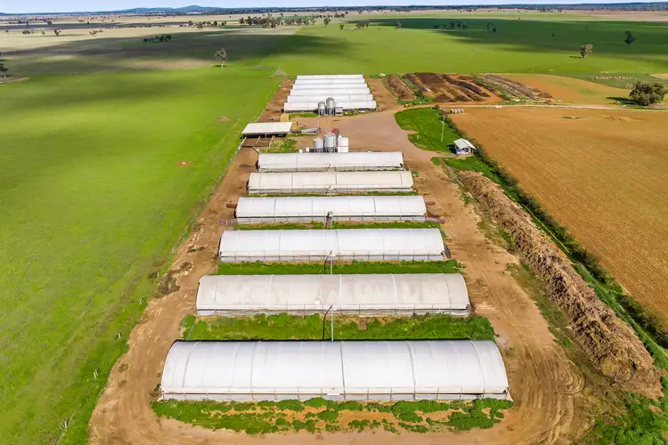 Second view of Homely rural property listing, 4440-4446 Bridgewater - Maldon Road, Bridgewater VIC 3516