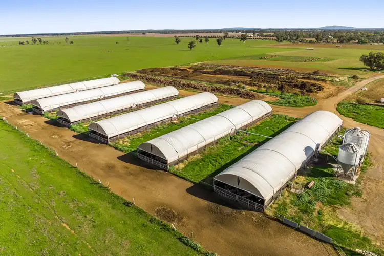 Fifth view of Homely rural property listing, 4440-4446 Bridgewater - Maldon Road, Bridgewater VIC 3516