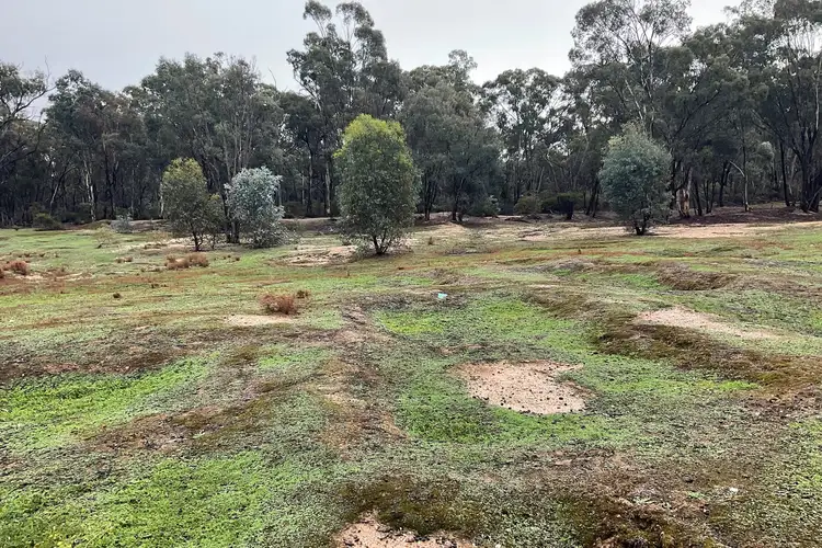 Second view of Homely rural property listing, . Little Church Road, Carapooee West VIC 3477