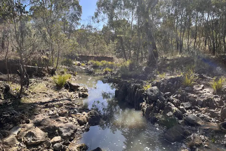 Seventh view of Homely rural property listing, 762 Old Coach Road, Pyramul NSW 2850