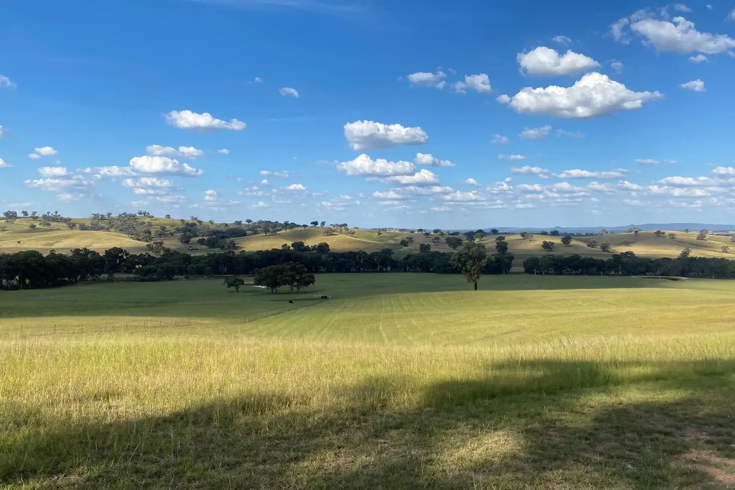 Main view of Homely rural property listing, 857 Spring Ridge Road, Mudgee NSW 2850