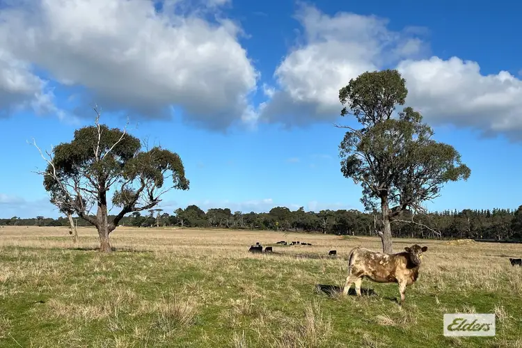 Main view of Homely rural property listing, 1107 Seaspray Road, Longford VIC 3851