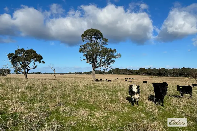 Third view of Homely rural property listing, 1107 Seaspray Road, Longford VIC 3851