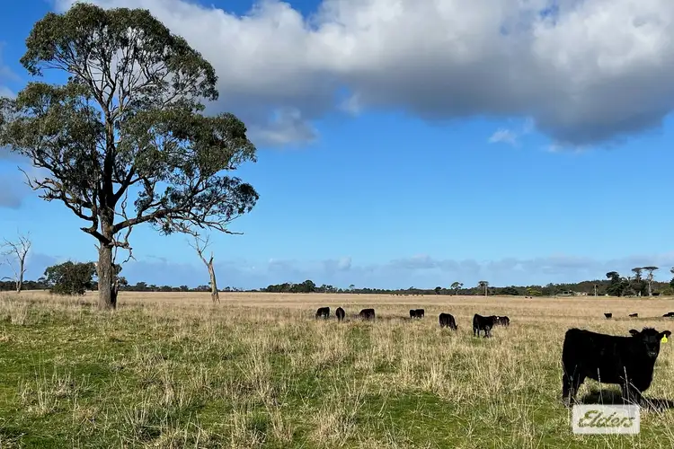 Fourth view of Homely rural property listing, 1107 Seaspray Road, Longford VIC 3851