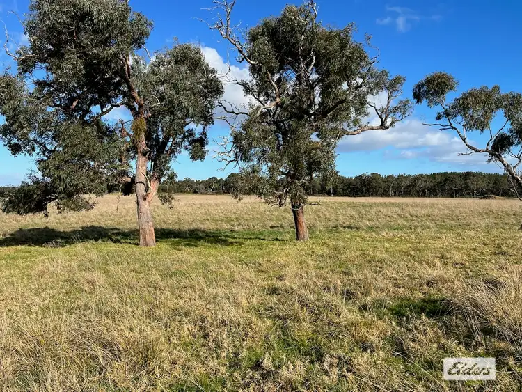 Sixth view of Homely rural property listing, 1107 Seaspray Road, Longford VIC 3851