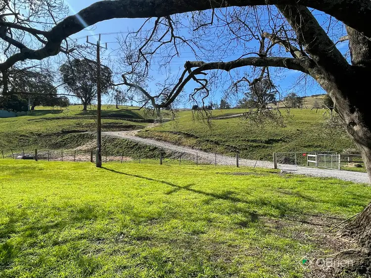 Third view of Homely land listing, 5630 Buchan-Orbost Road, Buchan VIC 3885