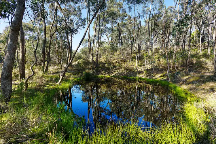 Fourth view of Homely land listing, 32 Dishpan Gully Road, Chewton Bushlands VIC 3451