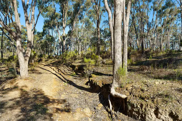 Fifth view of Homely land listing, 32 Dishpan Gully Road, Chewton Bushlands VIC 3451