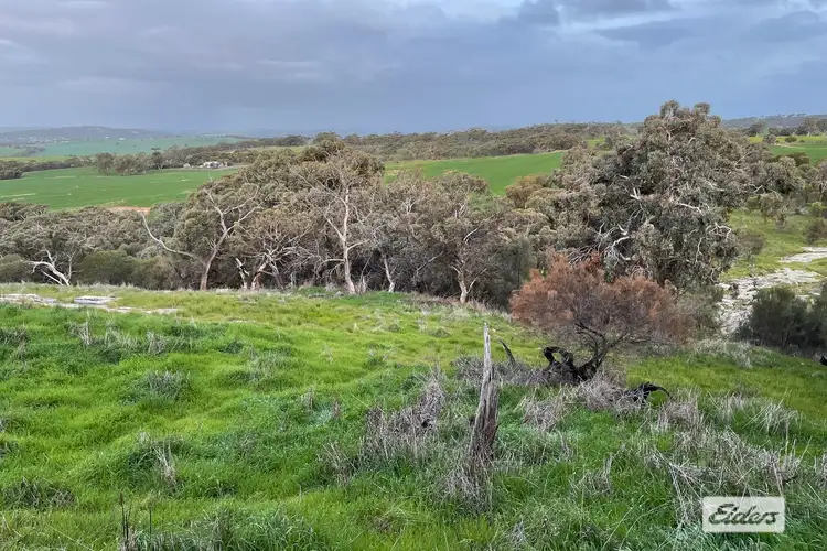 Main view of Homely rural property listing, Lot 1537 Ashworth Road, York WA 6302