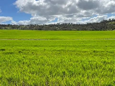 Fourth view of Homely rural property listing, Lot 1537 Ashworth Road, York WA 6302