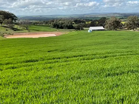 Fifth view of Homely rural property listing, Lot 1537 Ashworth Road, York WA 6302