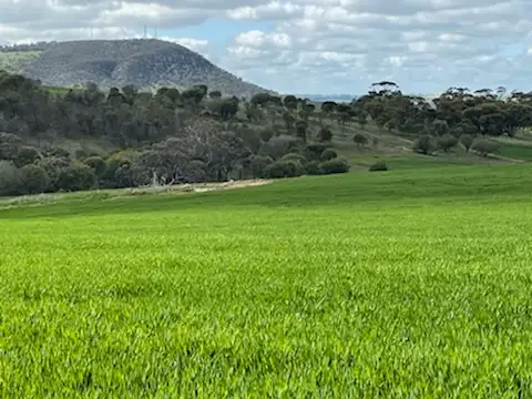 Seventh view of Homely rural property listing, Lot 1537 Ashworth Road, York WA 6302