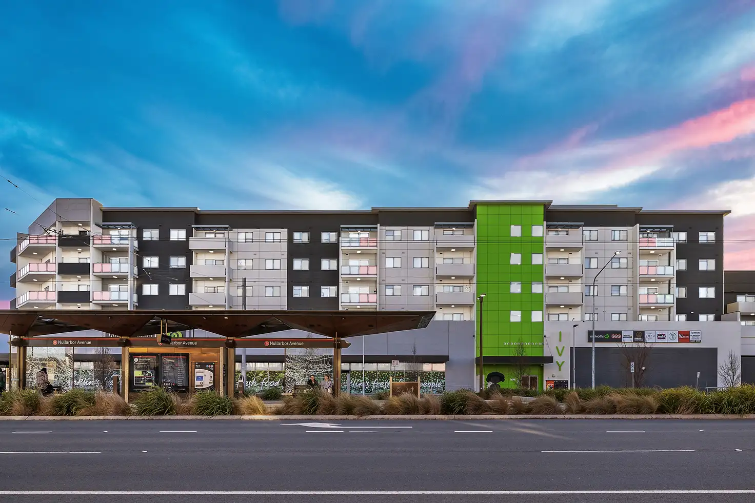 Main view of Homely apartment listing, 39/241 Flemington Road, Franklin ACT 2913