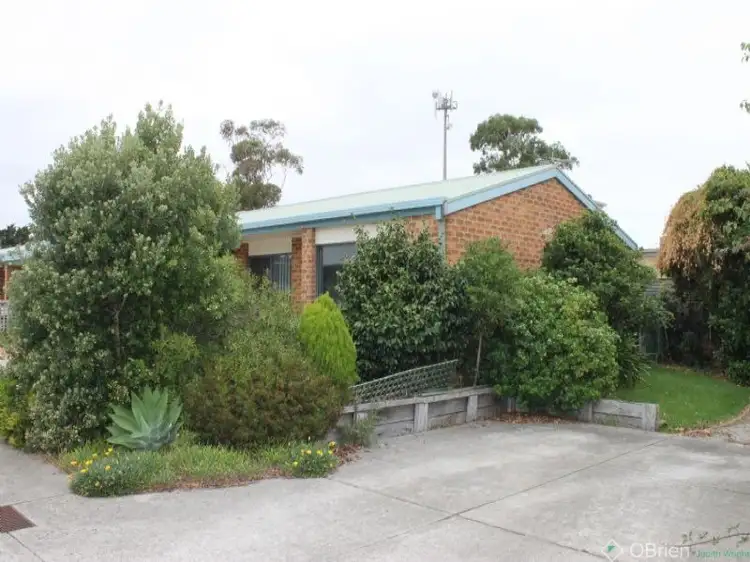 Main view of Homely unit listing, 5/13 Douglas Road, Cowes VIC 3922