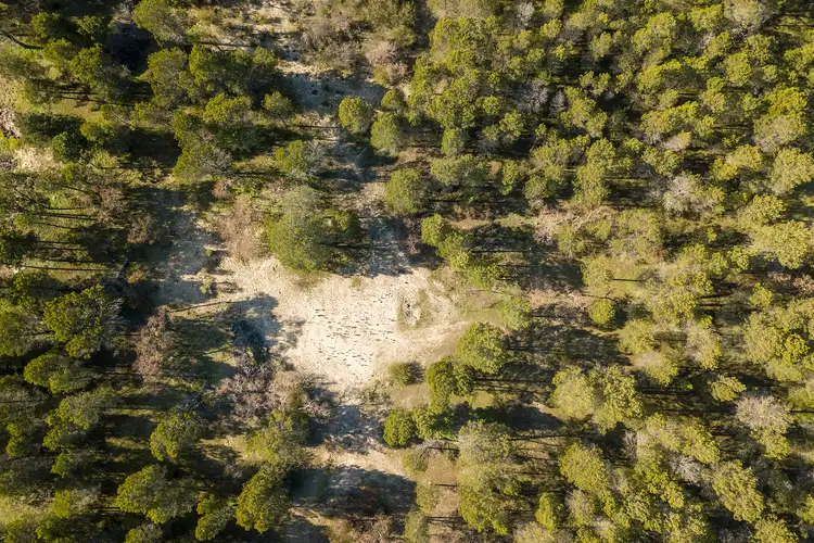 Fourth view of Homely land listing, Lot 53 Knott Road, Williamstown SA 5351