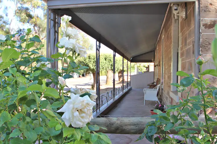 Main view of Homely house listing, 5 Mitchell Flat, Burra SA 5417