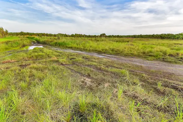Sixth view of Homely land listing, 768 Letchford Road, Darwin River NT 841