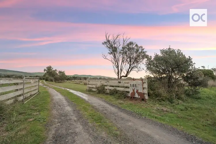 Fifth view of Homely house listing, 181 Button Road, Sellicks Beach SA 5174