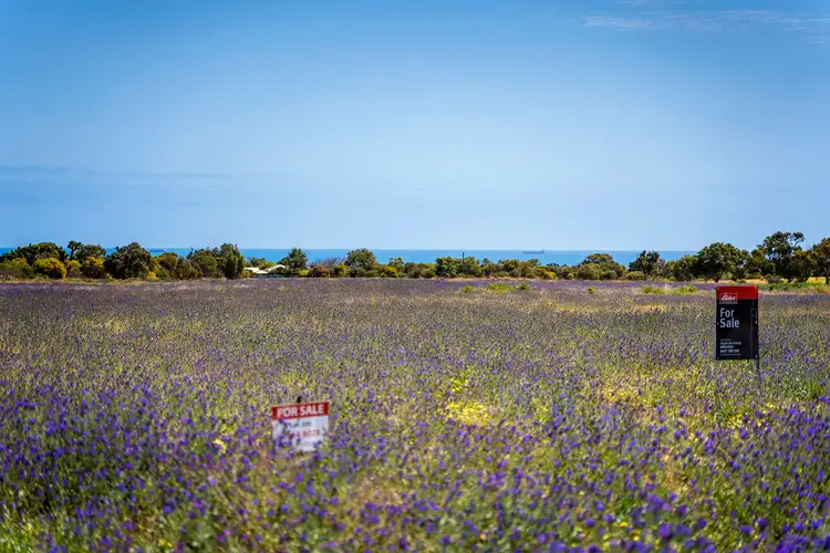 Second view of Homely land listing, LOT 200 LOT 200 Trefusis Place, Waggrakine WA 6530
