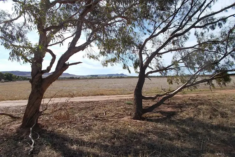 Main view of Homely land listing, 17 Hill River Way, Moonyoonooka WA 6532
