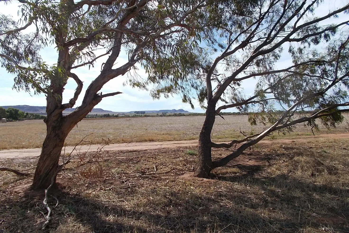 Main view of Homely land listing, 17 Hill River Way, Moonyoonooka WA 6532