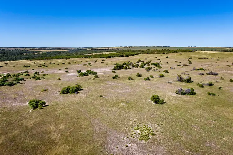 Sixth view of Homely rural property listing, 4168 Carroll Road, Nabawa WA 6532