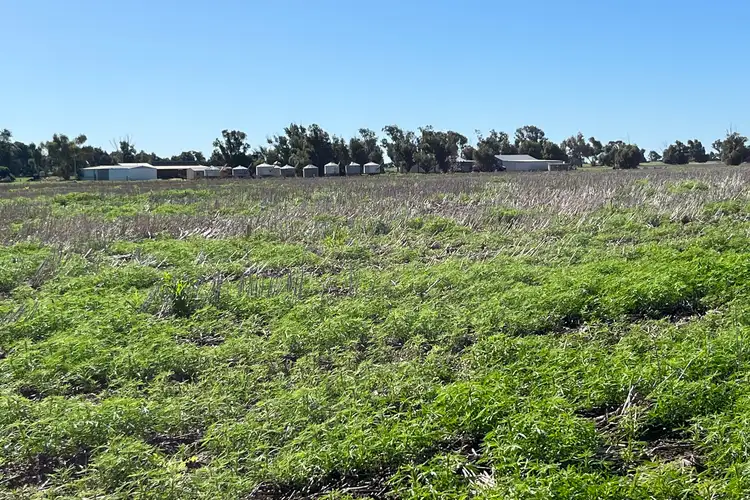 Third view of Homely rural property listing, 972 Horry Road, East Bowes WA 6535