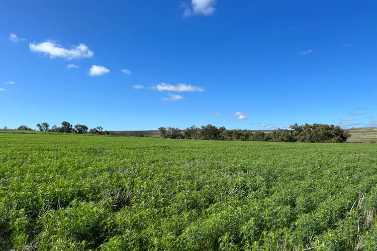 Fourth view of Homely rural property listing, 972 Horry Road, East Bowes WA 6535