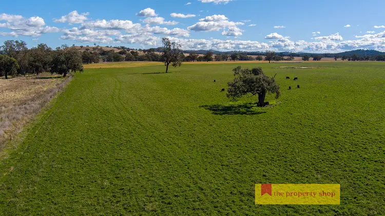 Second view of Homely rural property listing, 2327 Goolma Road, Mudgee NSW 2850