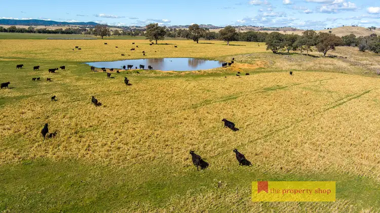 Third view of Homely rural property listing, 2327 Goolma Road, Mudgee NSW 2850