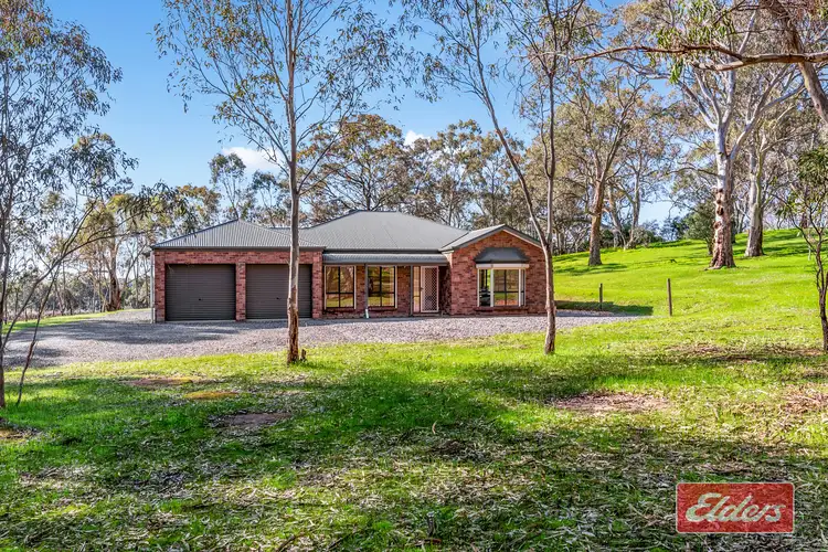 Main view of Homely house listing, 40 Needles Road, Williamstown SA 5351