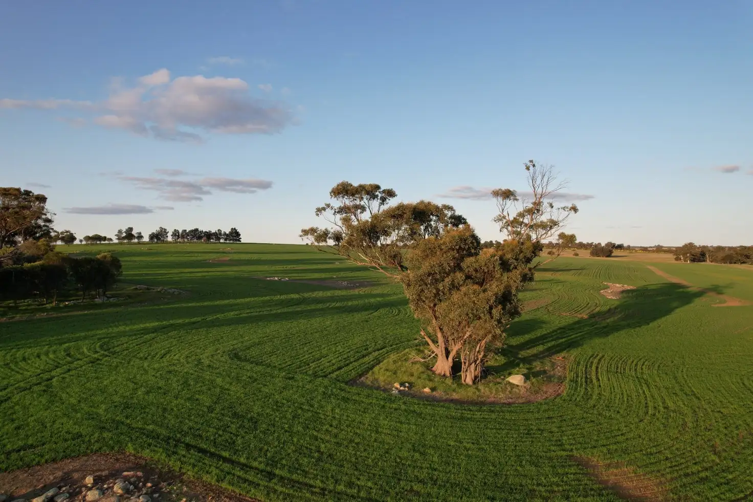 Main view of Homely rural property listing, 459 Burt Road, Woodanilling WA 6316