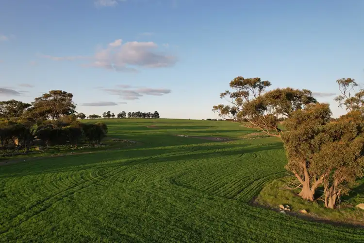 Second view of Homely rural property listing, 459 Burt Road, Woodanilling WA 6316