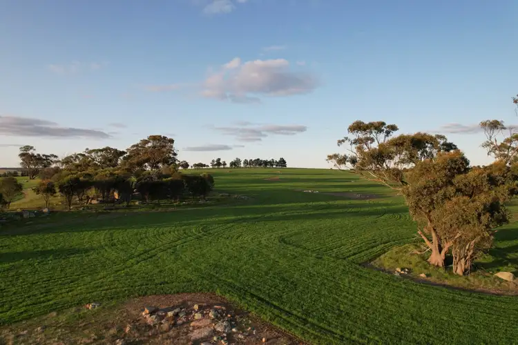 Third view of Homely rural property listing, 459 Burt Road, Woodanilling WA 6316