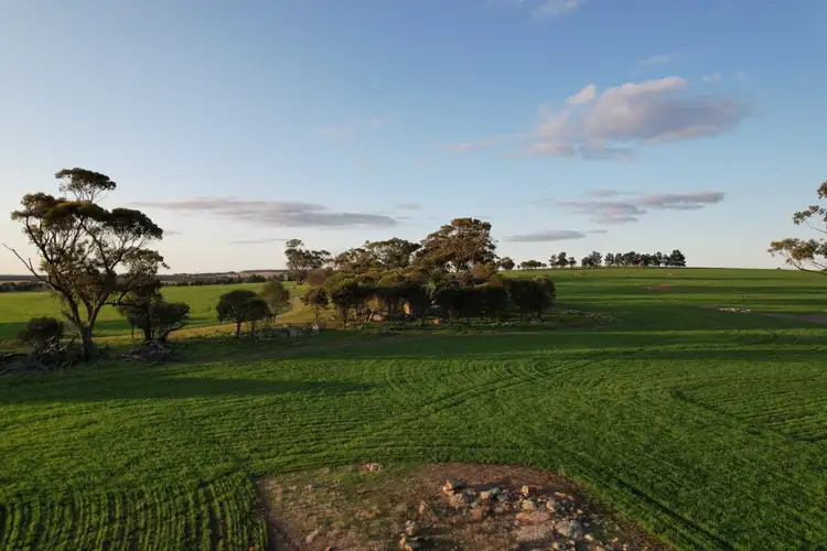 Fourth view of Homely rural property listing, 459 Burt Road, Woodanilling WA 6316