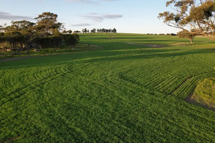 Fifth view of Homely rural property listing, 459 Burt Road, Woodanilling WA 6316