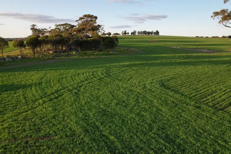 Sixth view of Homely rural property listing, 459 Burt Road, Woodanilling WA 6316