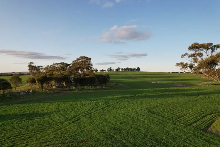 Seventh view of Homely rural property listing, 459 Burt Road, Woodanilling WA 6316