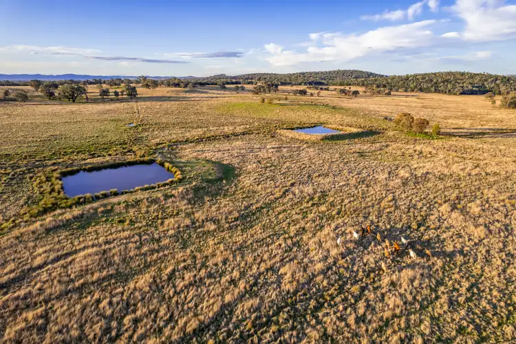 Third view of Homely rural property listing, Lot 2 Stoney Hill Road, Cowra NSW 2794