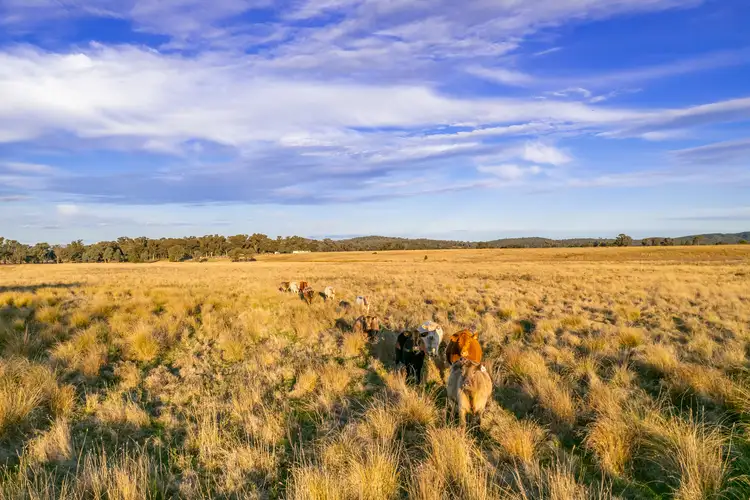 Fourth view of Homely rural property listing, Lot 2 Stoney Hill Road, Cowra NSW 2794