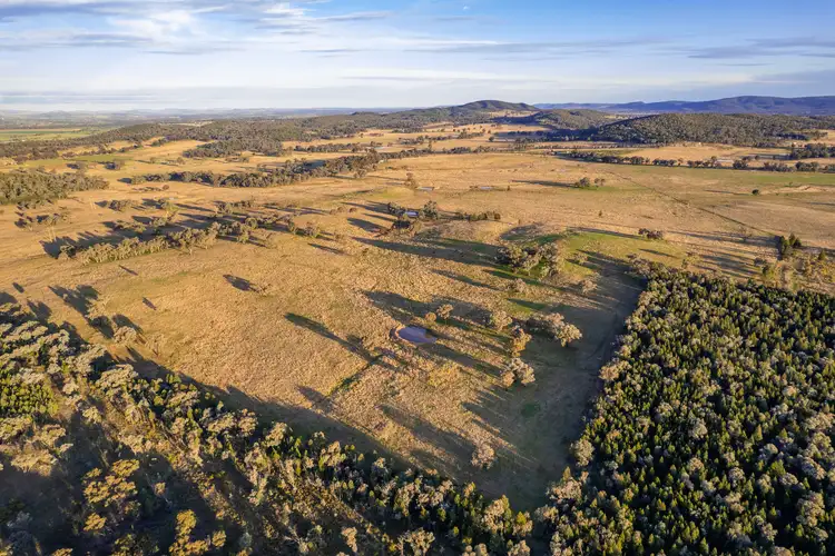 Sixth view of Homely rural property listing, Lot 2 Stoney Hill Road, Cowra NSW 2794