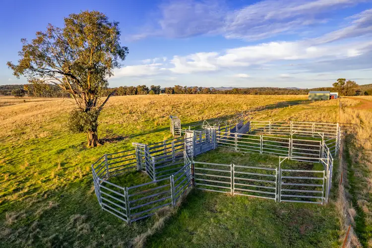 Seventh view of Homely rural property listing, Lot 2 Stoney Hill Road, Cowra NSW 2794