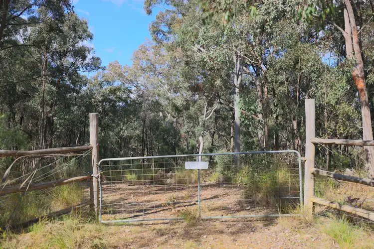 Third view of Homely rural property listing, 129 Triangle Swamp Road, Mudgee NSW 2850